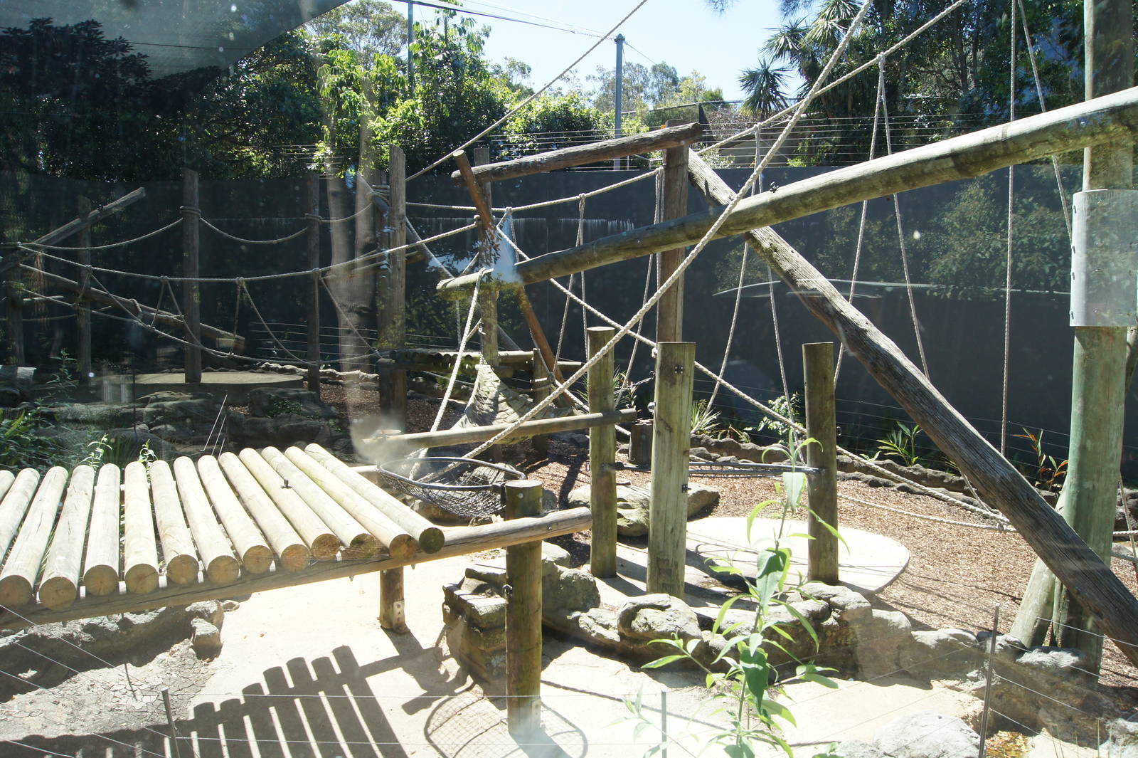 Hybrid Orangutan Exhibit