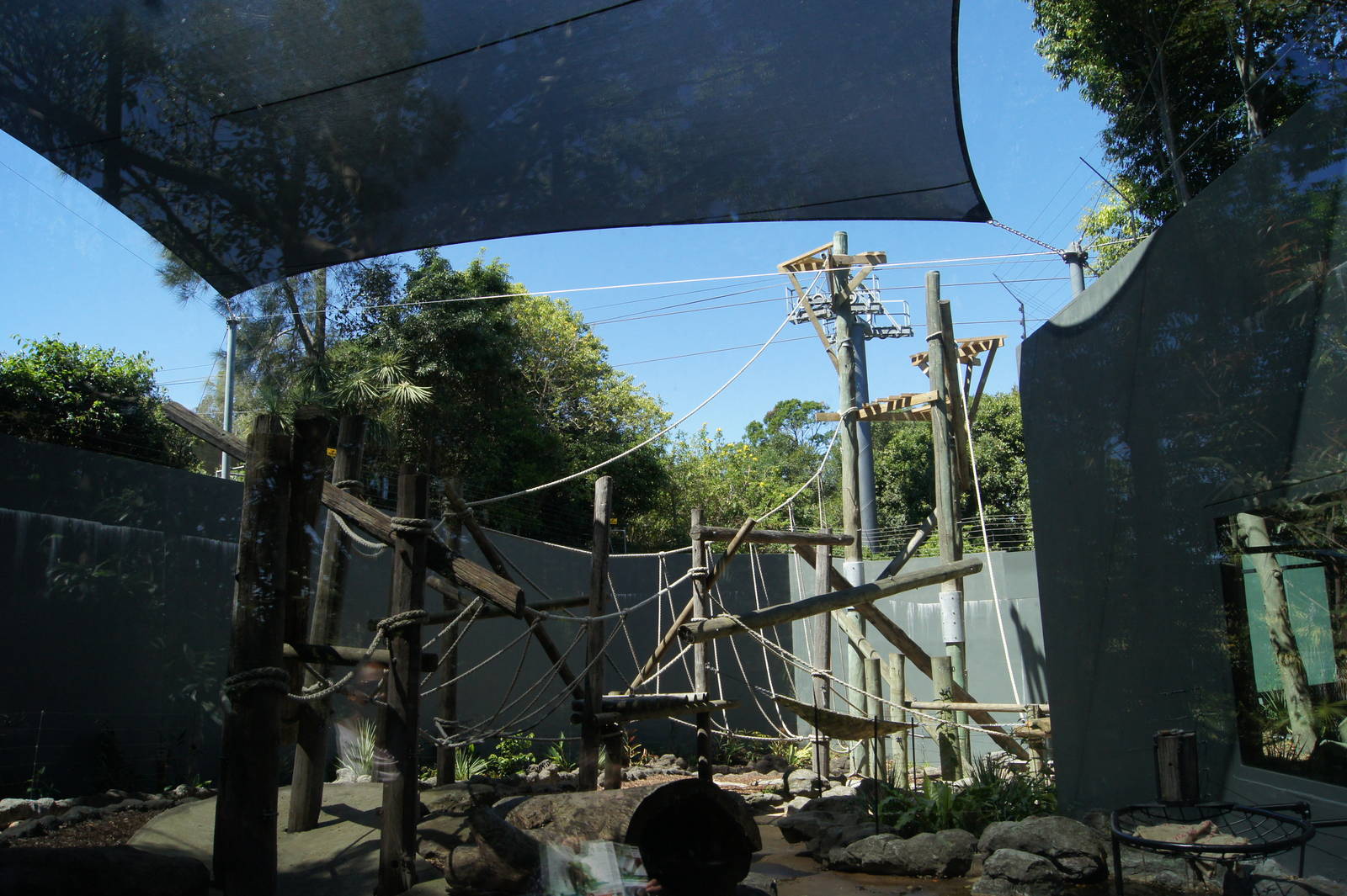Hybrid Orangutan Exhibit