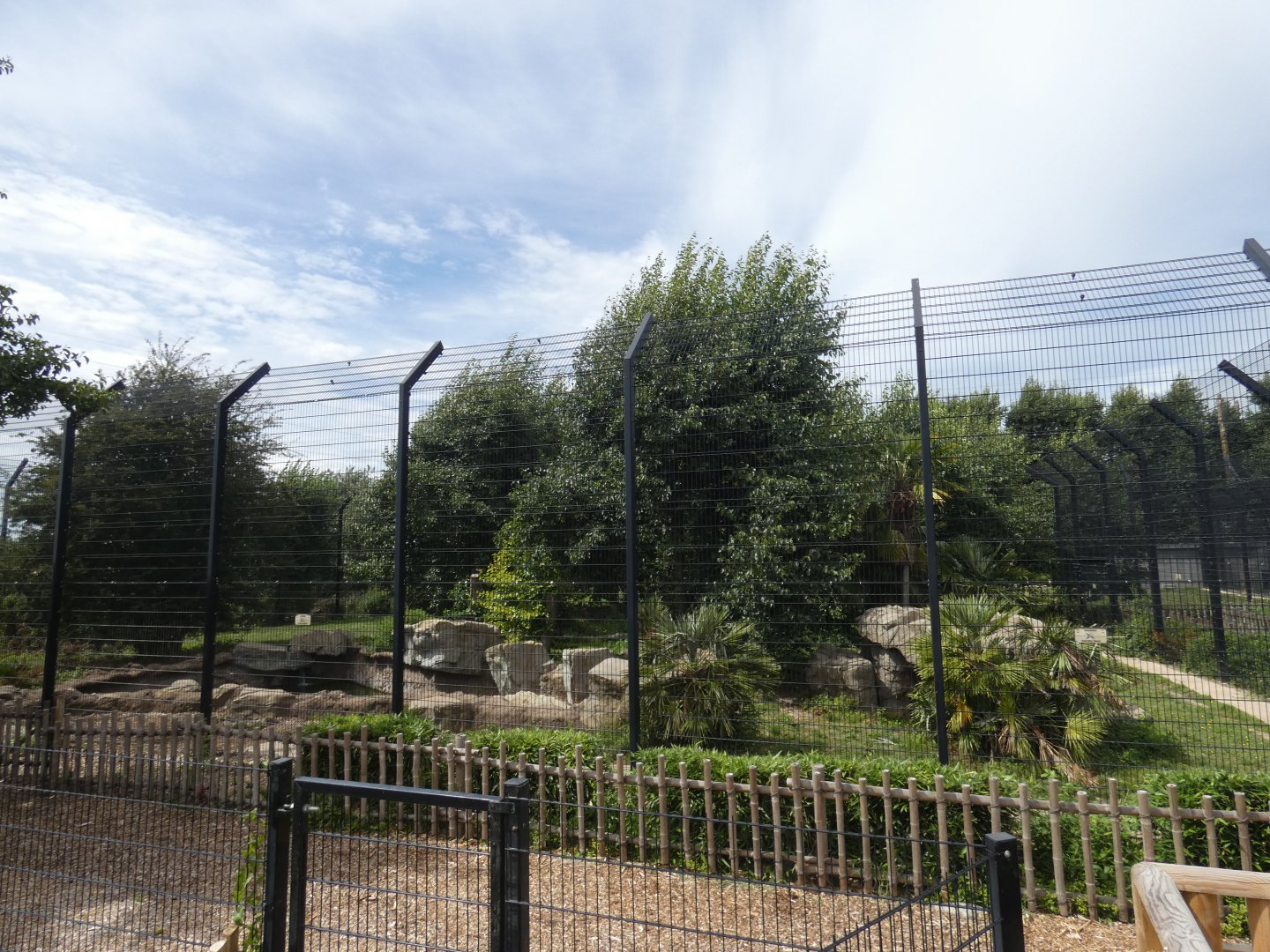 Hybrid Tiger enclosure