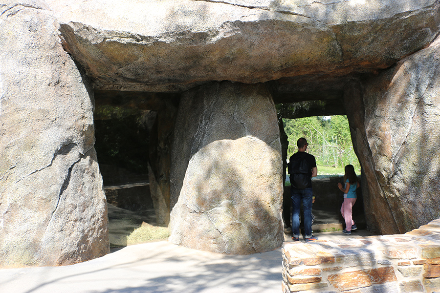 Hyena den viewpoints