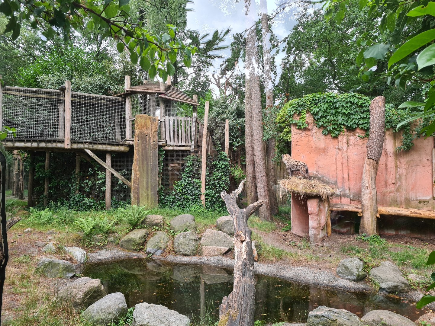 Hyena enclosure (and Children's route)