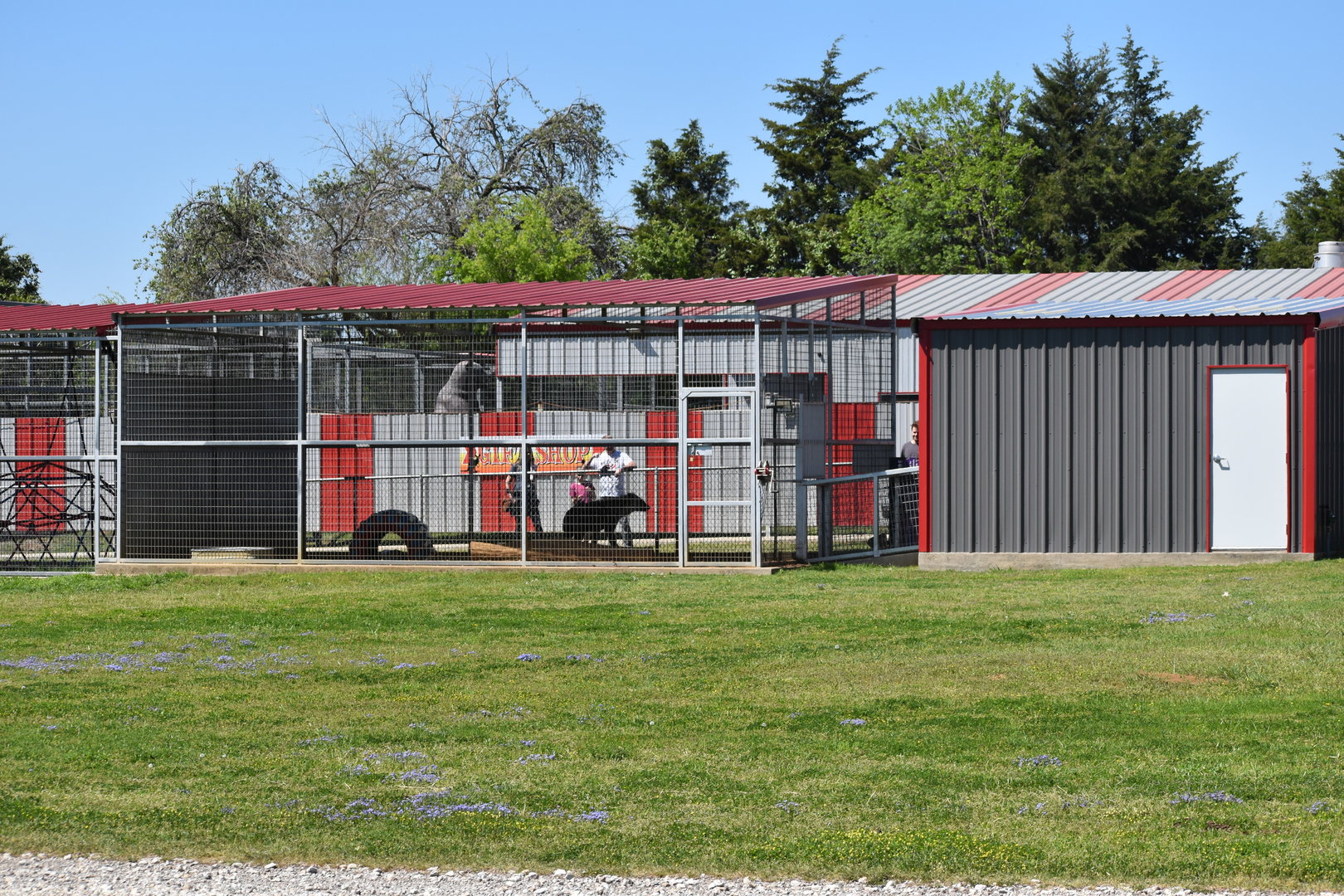 Hyena Enclosure From Afar