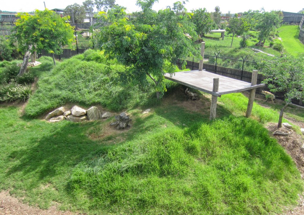 Hyena Enclosure - two Hyenas visible