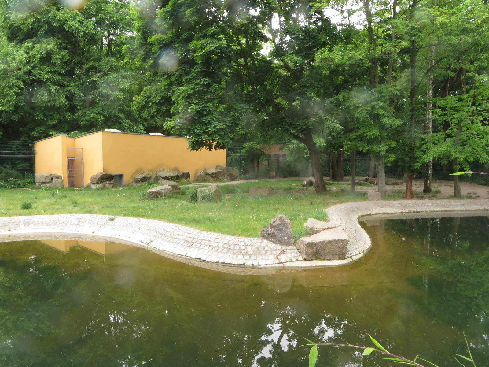 Hyena enclosure