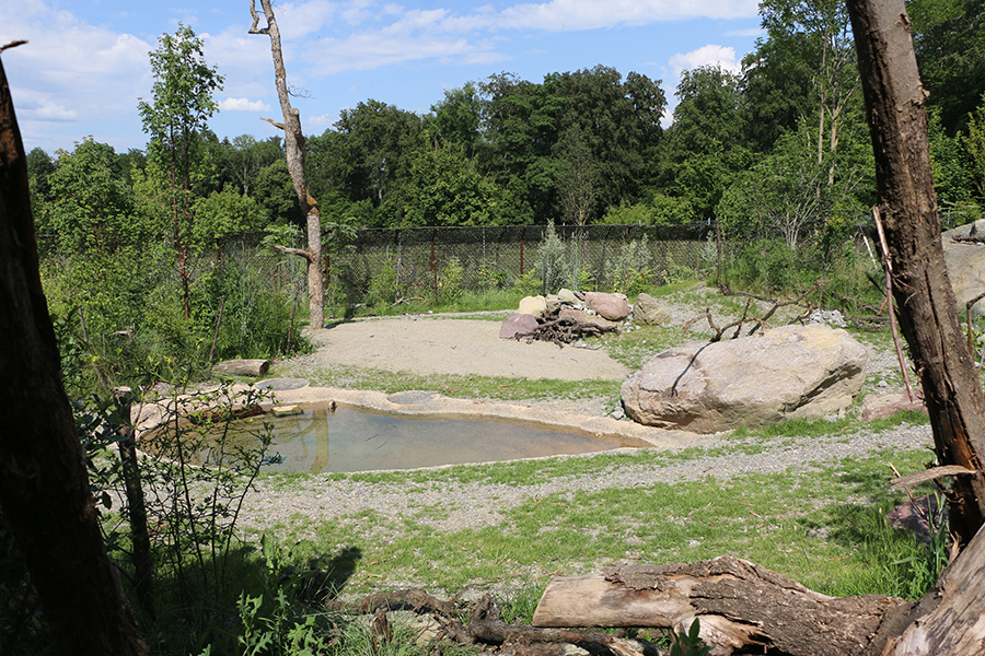 Hyena enclosure