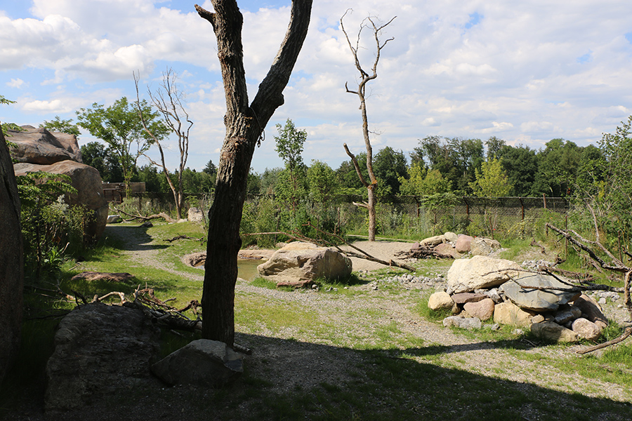 Hyena enclosure