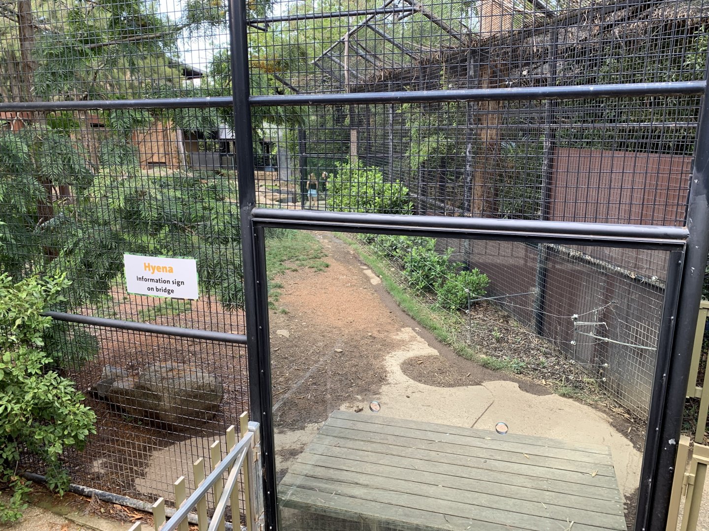 Hyena Encounter Feeding Station
