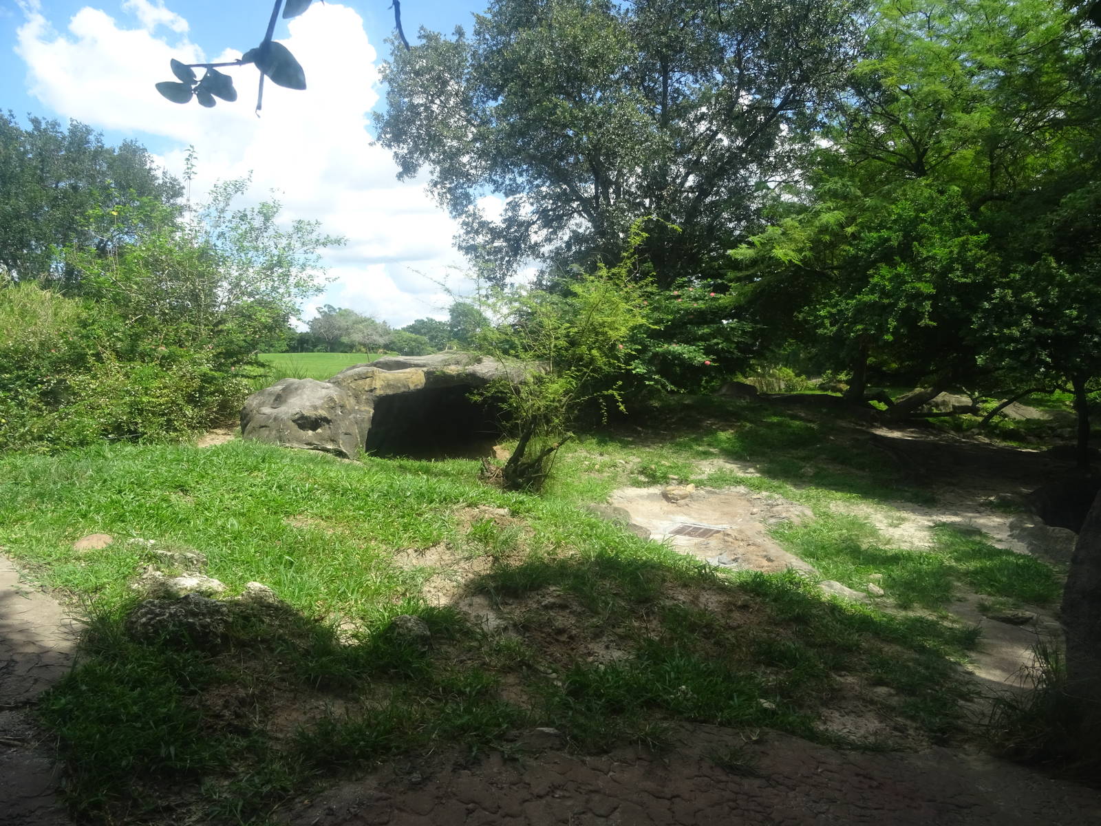 Hyena Exhibit at Busch Gardens Tampa