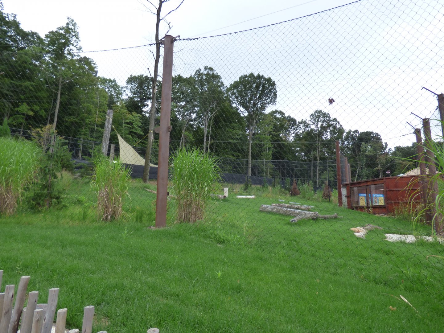 Hyena Exhibit - Sept. 2018