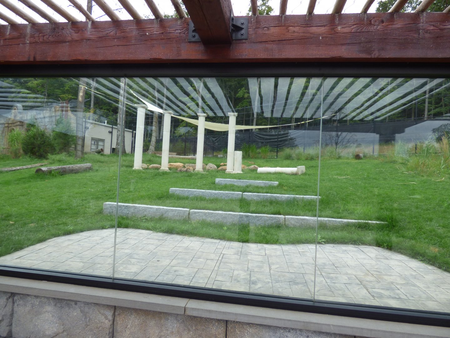 Hyena Exhibit - Sept. 2018