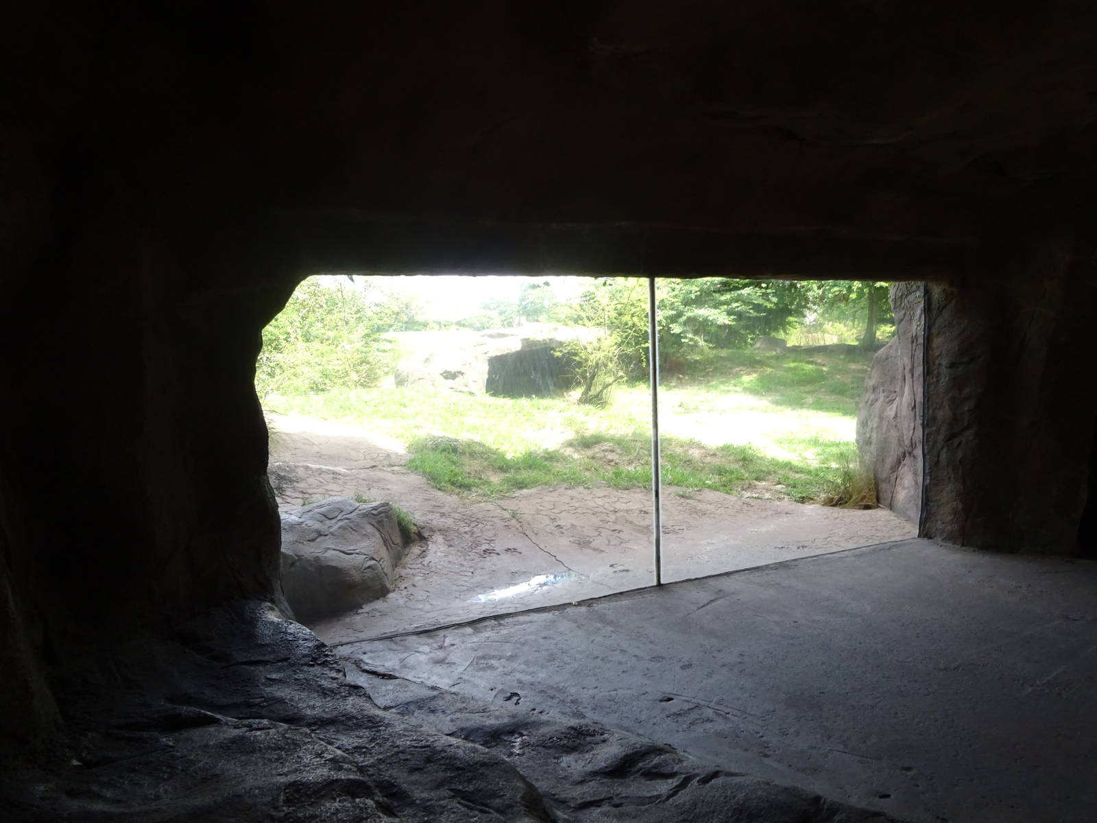 Hyena Exhibit Viewing Area at Busch Gardens Tampa