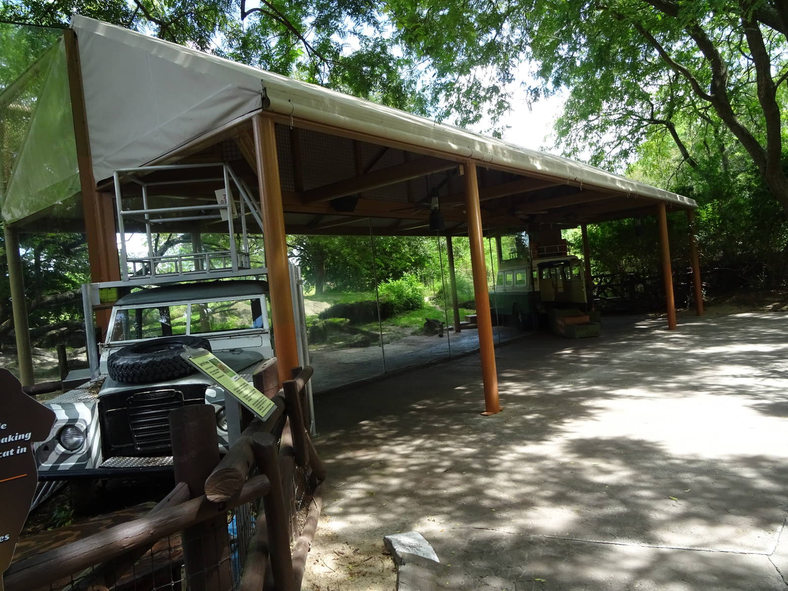 Hyena Exhibit Viewing Area at Busch Gardens Tampa
