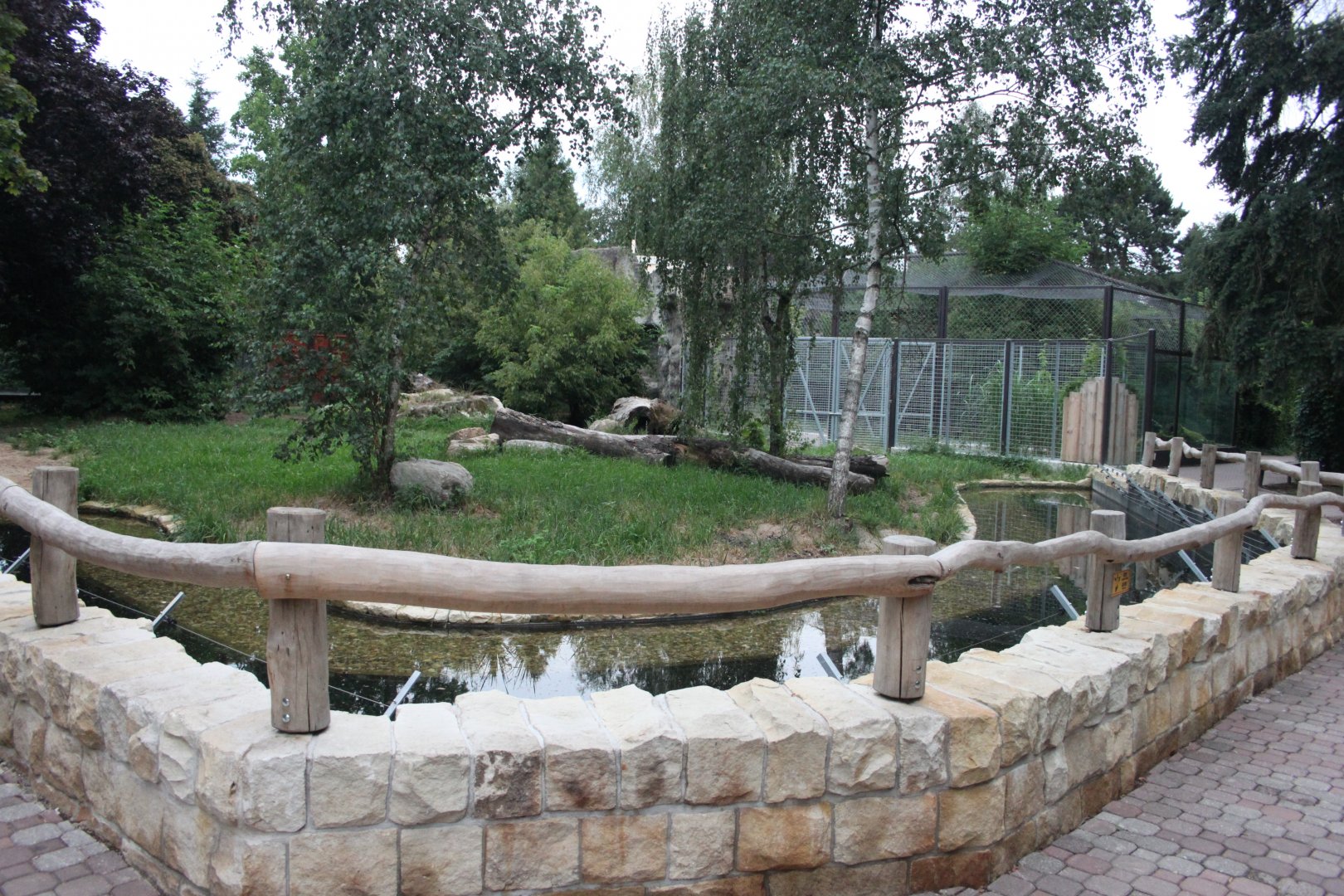 Hyena exhibit with reworked fencing