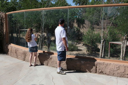 hyena exhibit