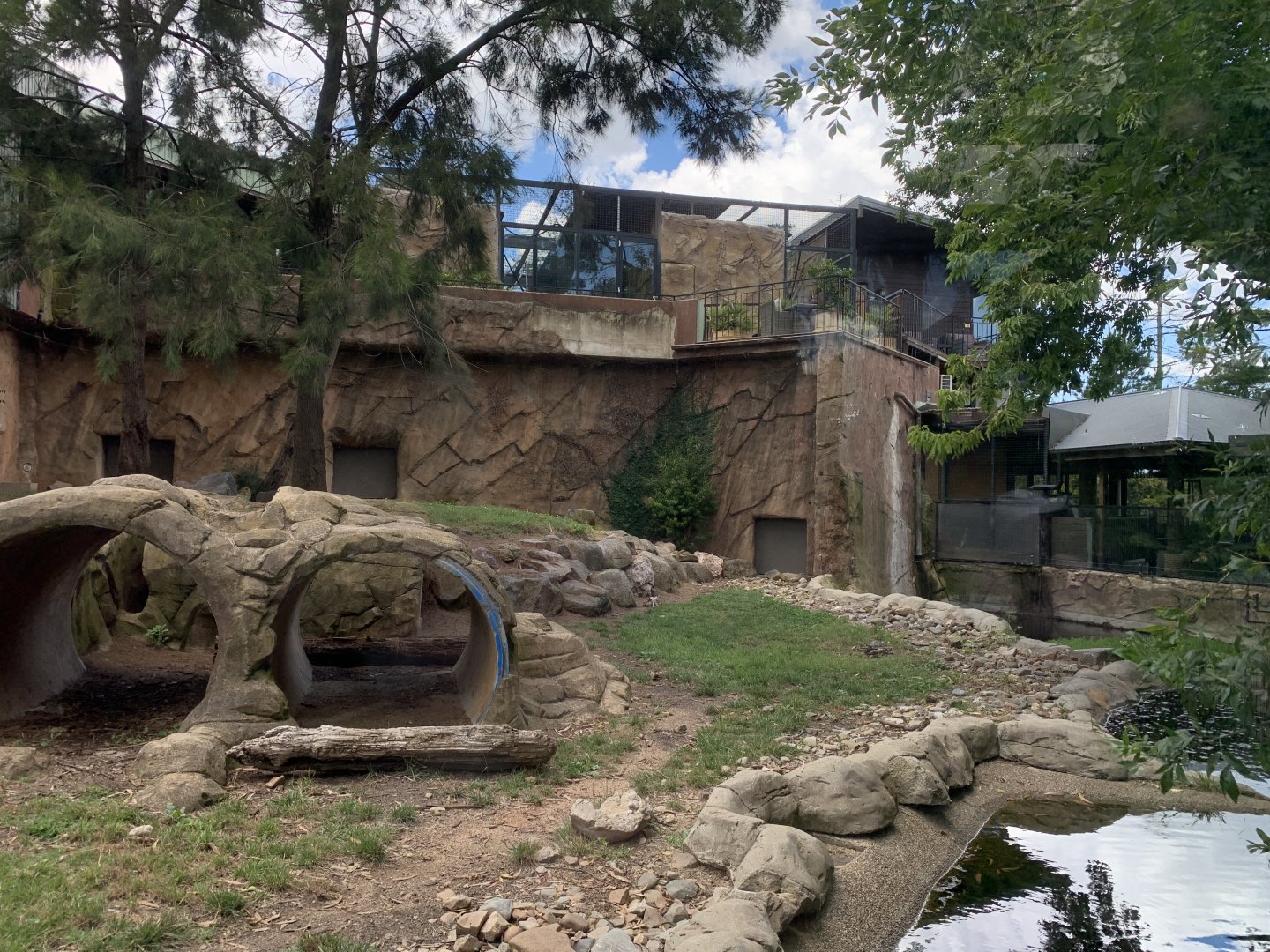 Hyena Exhibit
