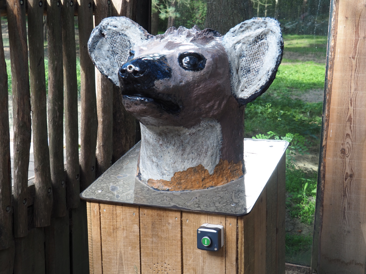 Hyena head information speaker, 2019-09-15