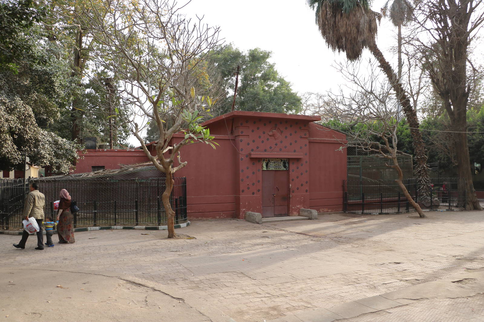 Hyena house, February 2016