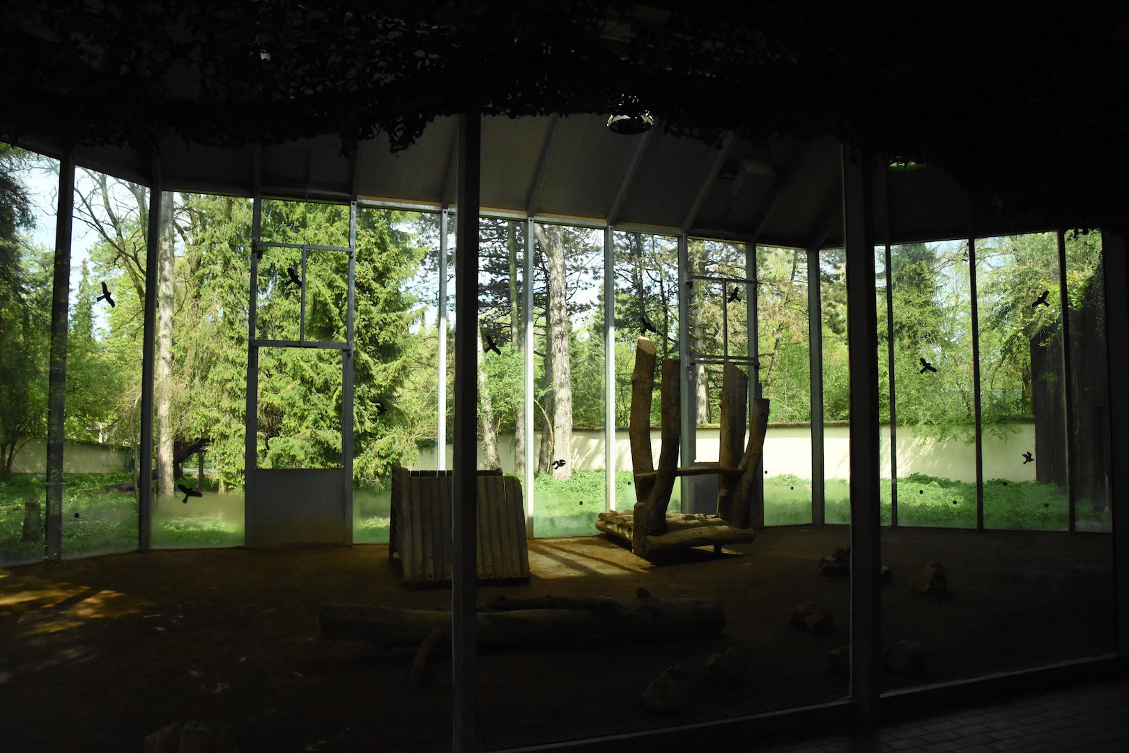 Hyena indoor enclosure