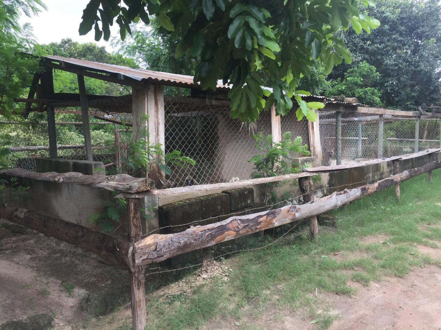 Hyenas enclosures - striped on the left, spotted on the right