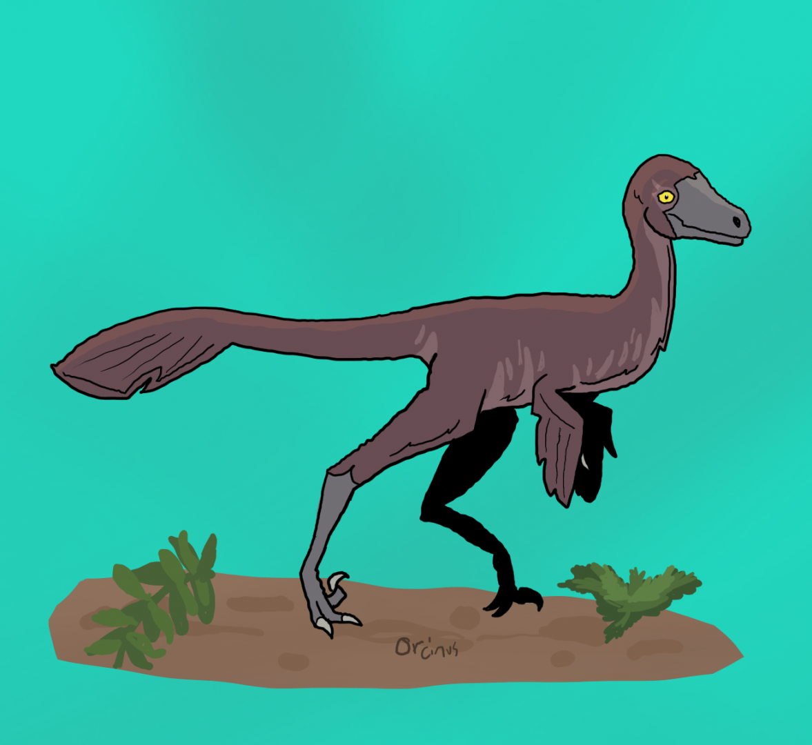 Hypnovenator matsubaraetoheorum