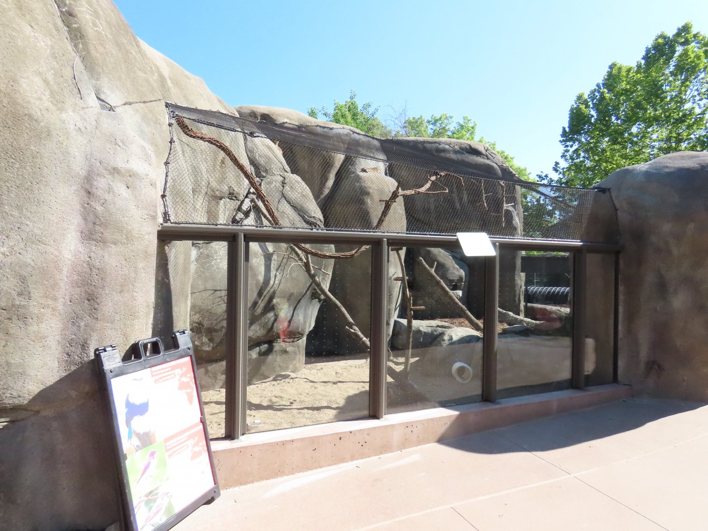 Hyrax and Bird Exhibit - Kopje Renovation