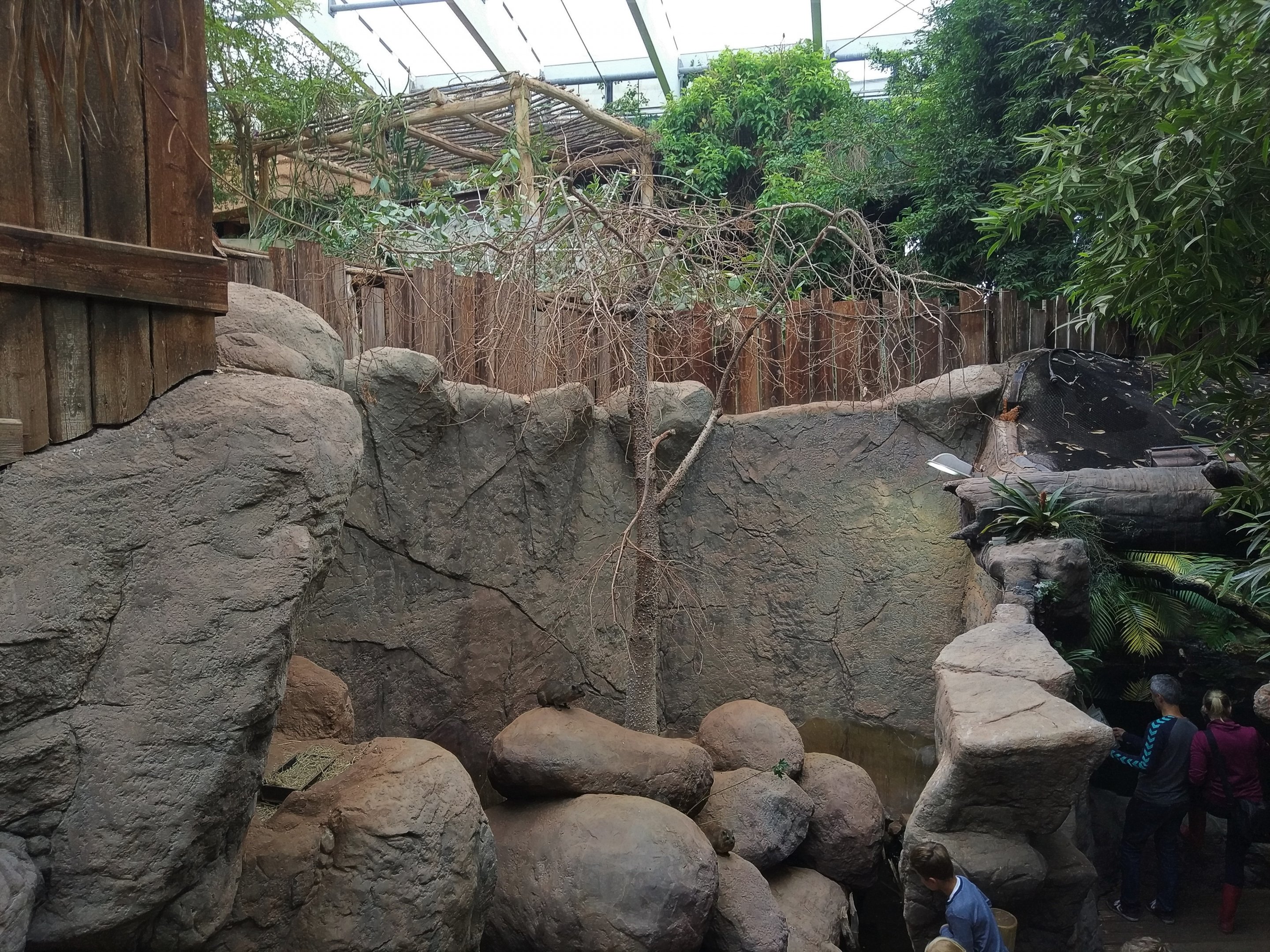 Hyrax Enclosure - Aquarium