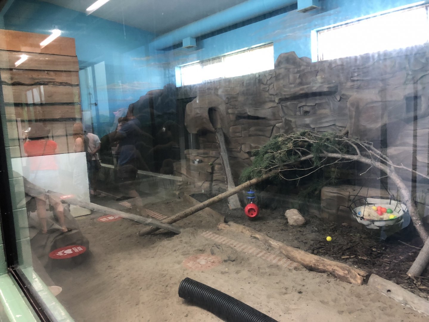 Hyrax Enclosure at Edmonton Valley Zoo (July 2022)