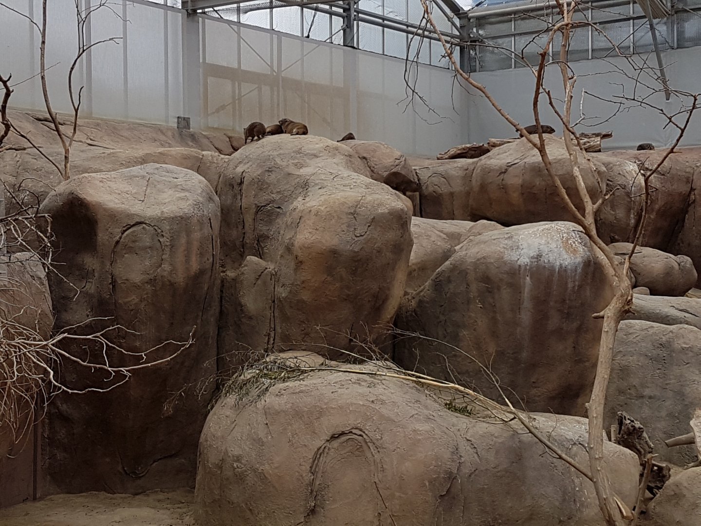 Hyrax-enclosure