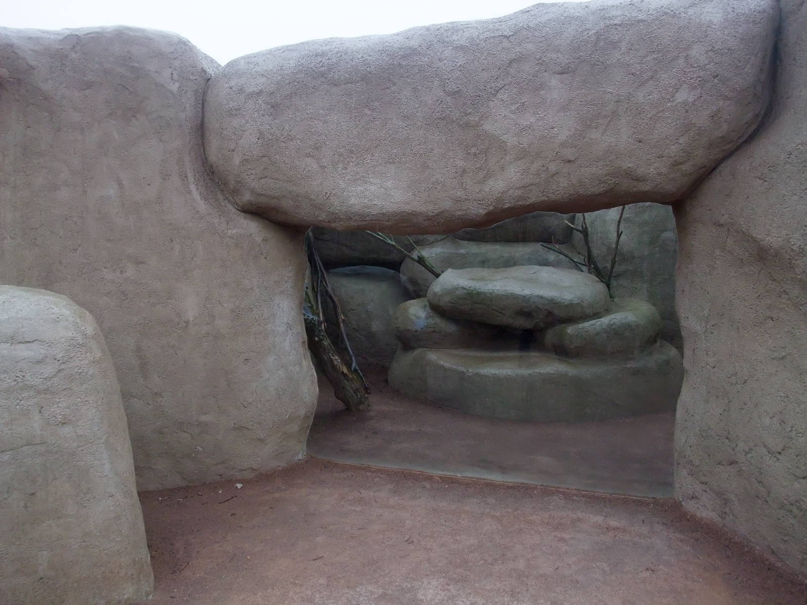 Hyrax Exhibit at Chester, 04/02/12