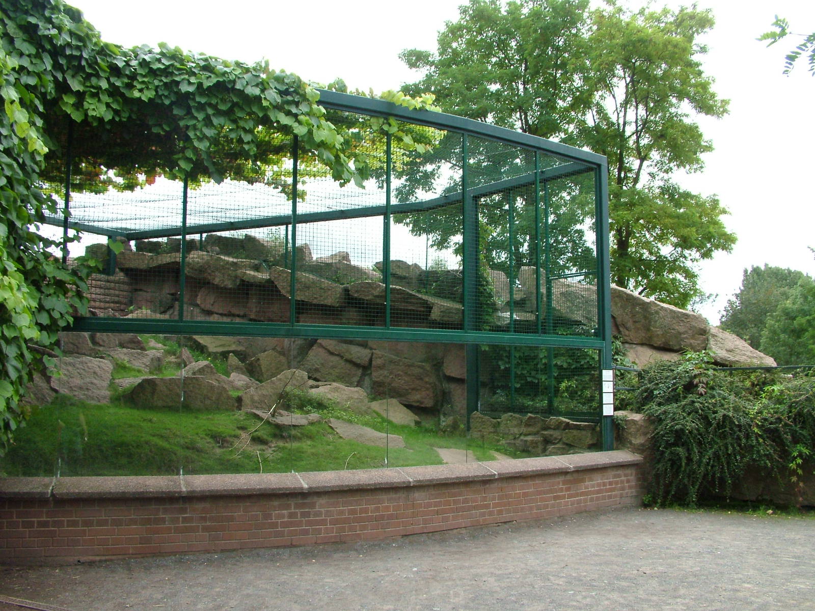 Hyrax Exhibit at Tierpark Berlin, 30/08/11