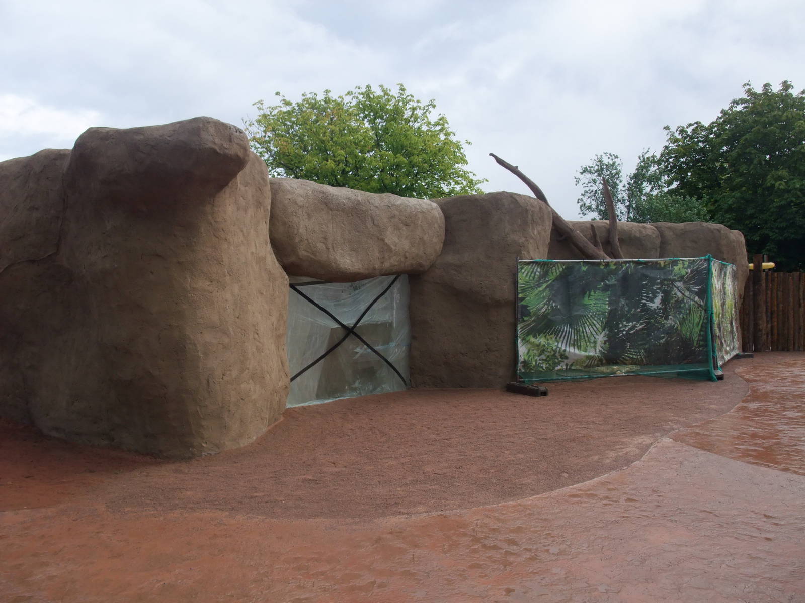 Hyrax Exhibit Construction at Chester, 16/07/11