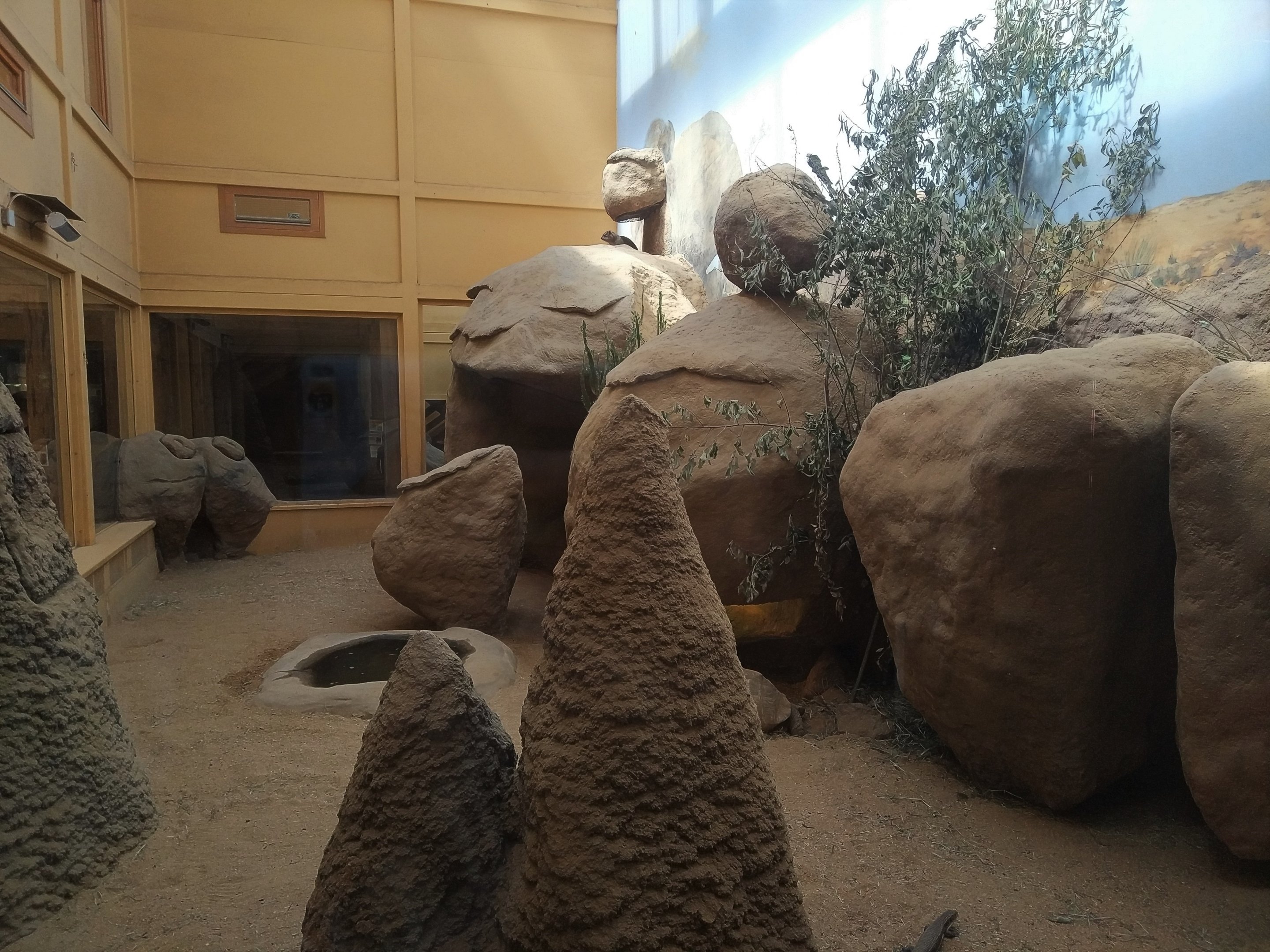Hyrax Exhibit