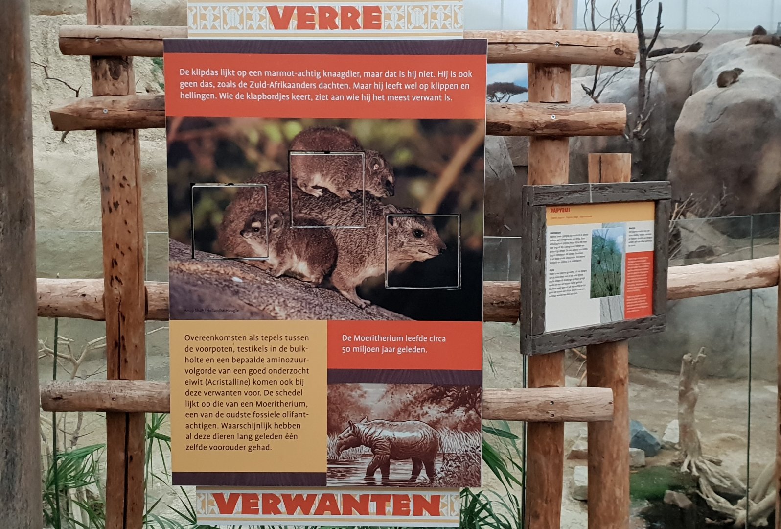 Hyrax info-sign
