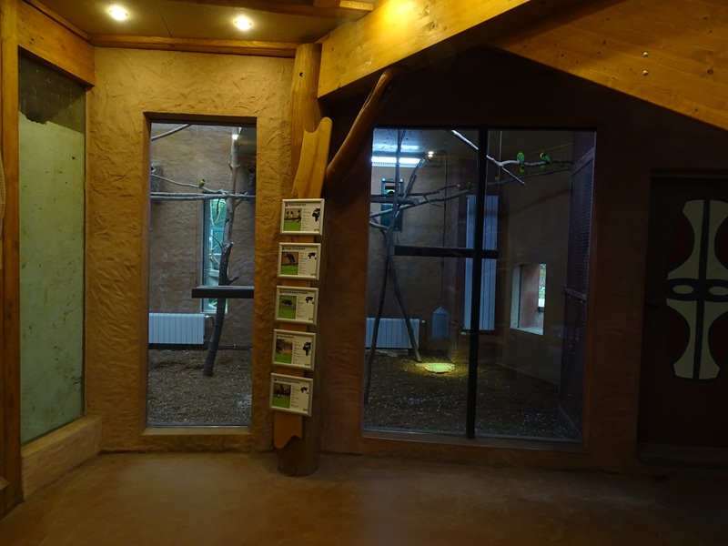 Hyrax/squirrel/parrot/guineafowl indoor enclosure