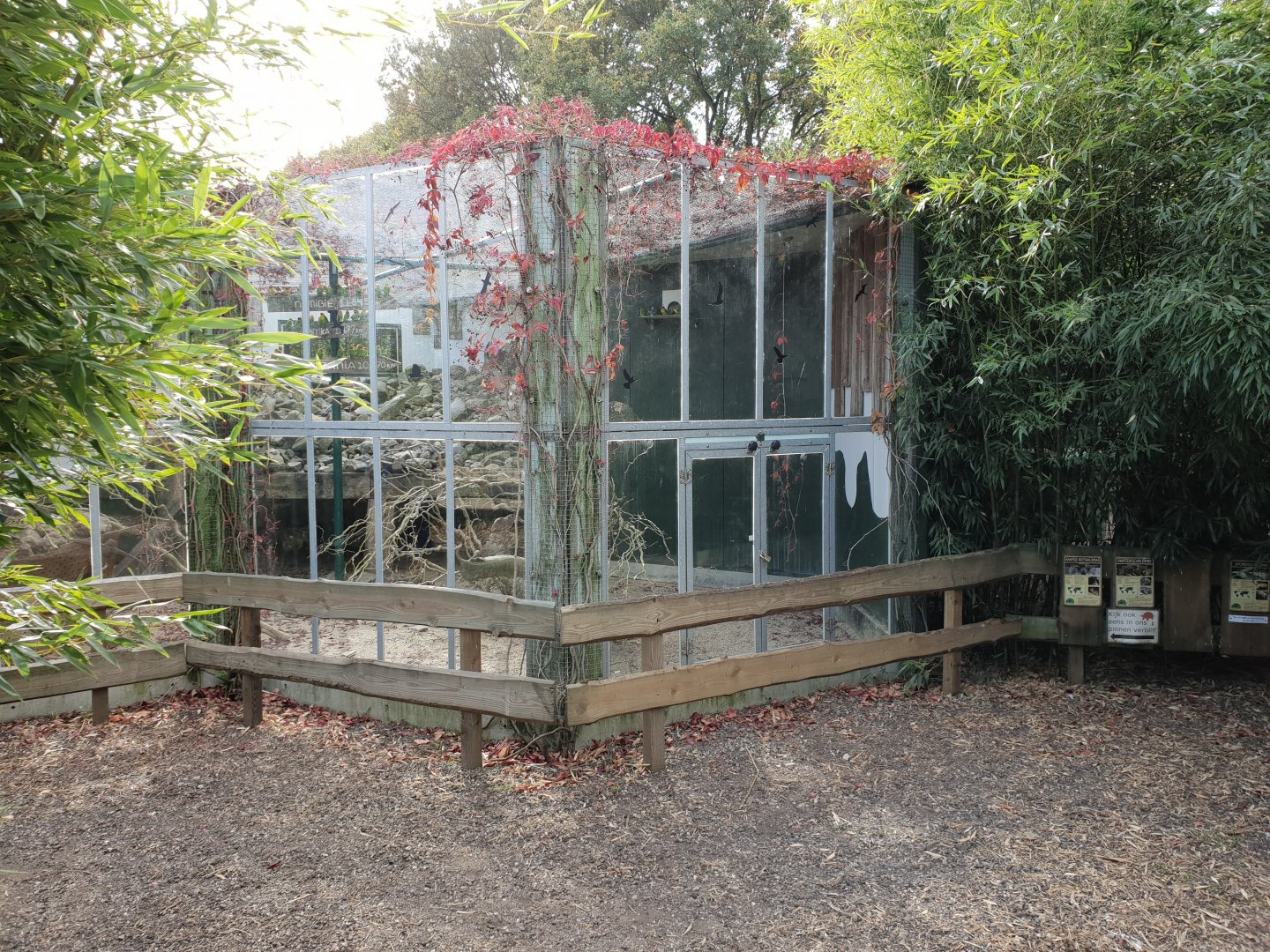 Hyrax - tortoise enclosure