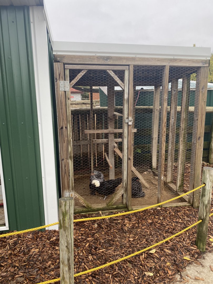 Hyvee Face-to-Face Farm - Chicken Coop