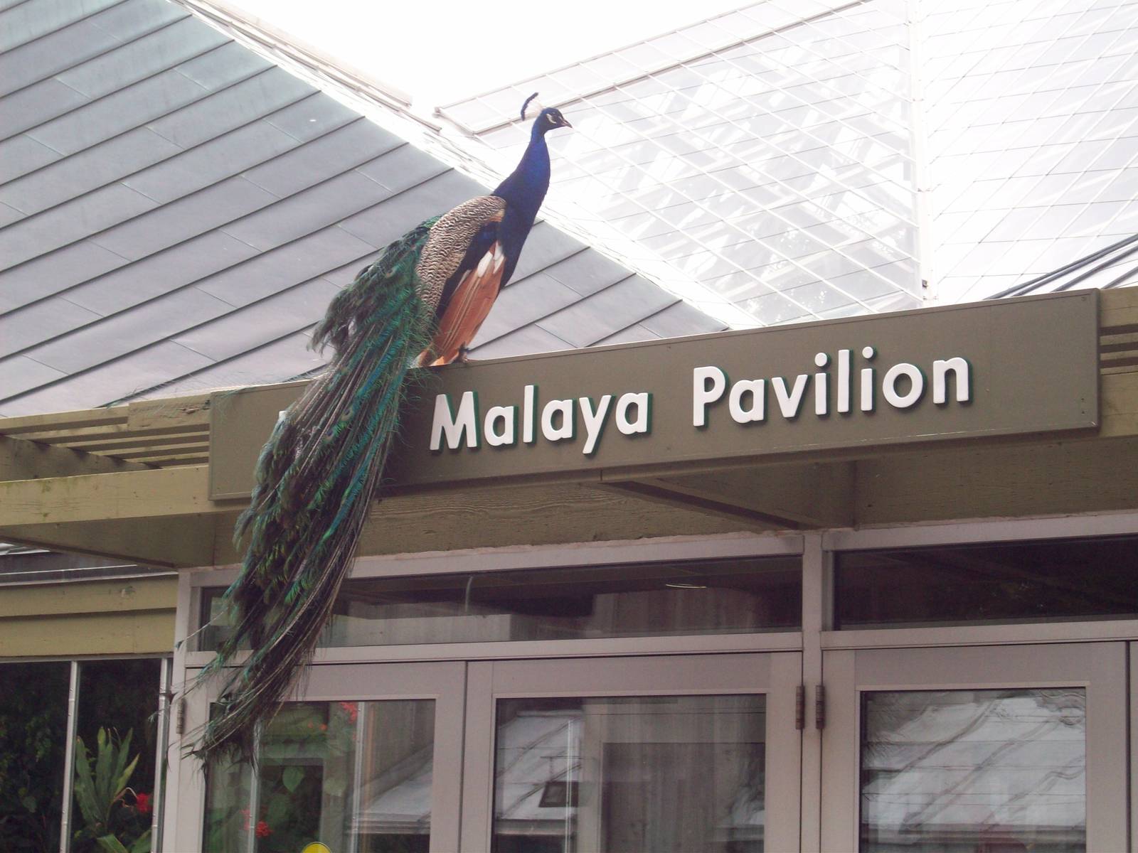 I accent the building!