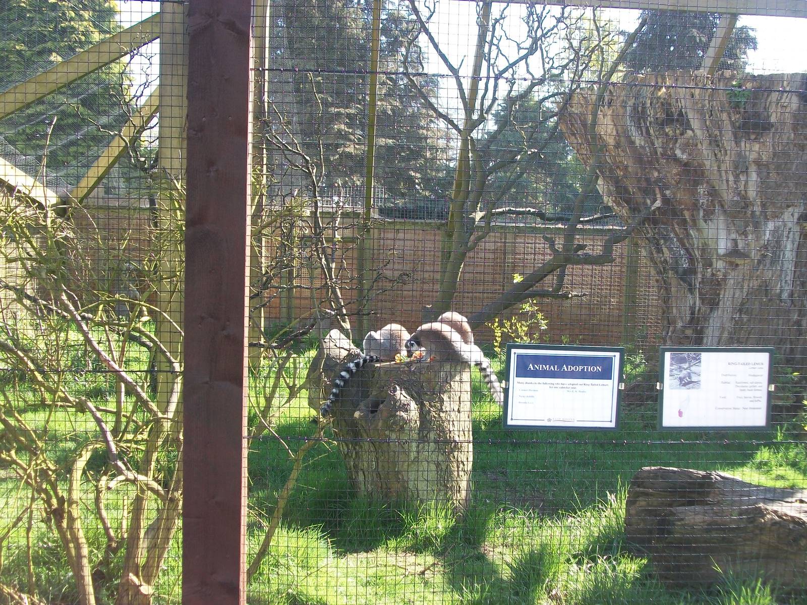 I am converted ! 11th April 2014