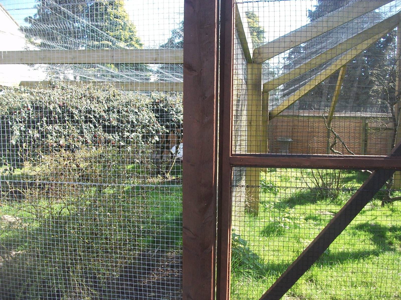 I am converted ! 11th April 2014