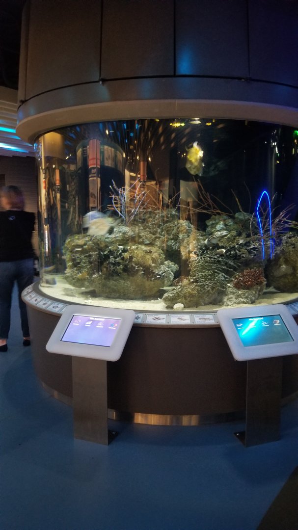 I believe this was called Sea Bed?