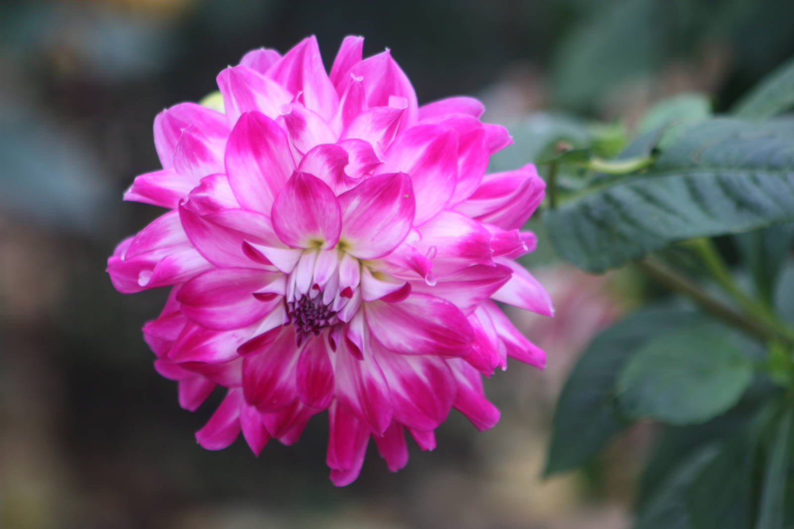 I could maybe hazard a guess at this one, 27th October 2014