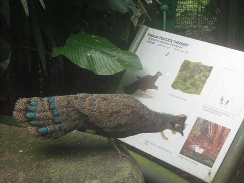 I didn't know that ?!