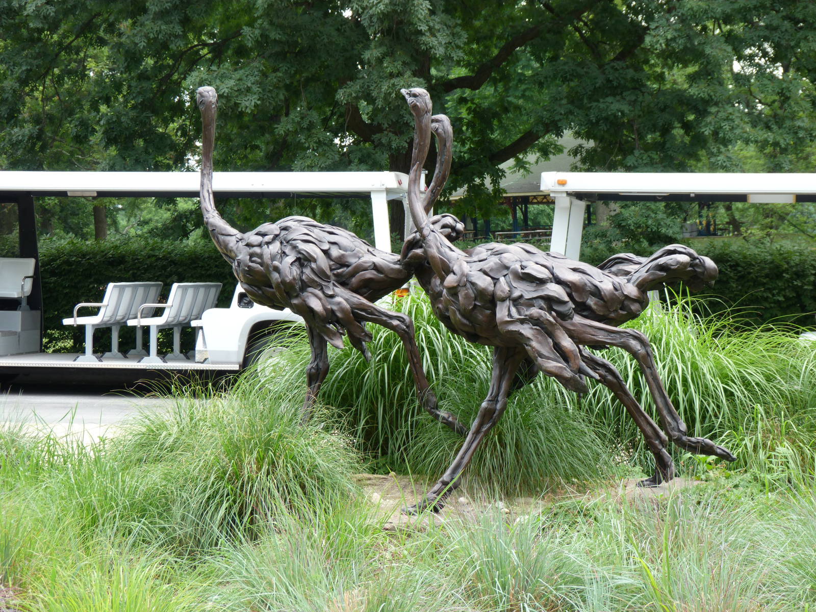 I don't see ostrich statues a lot