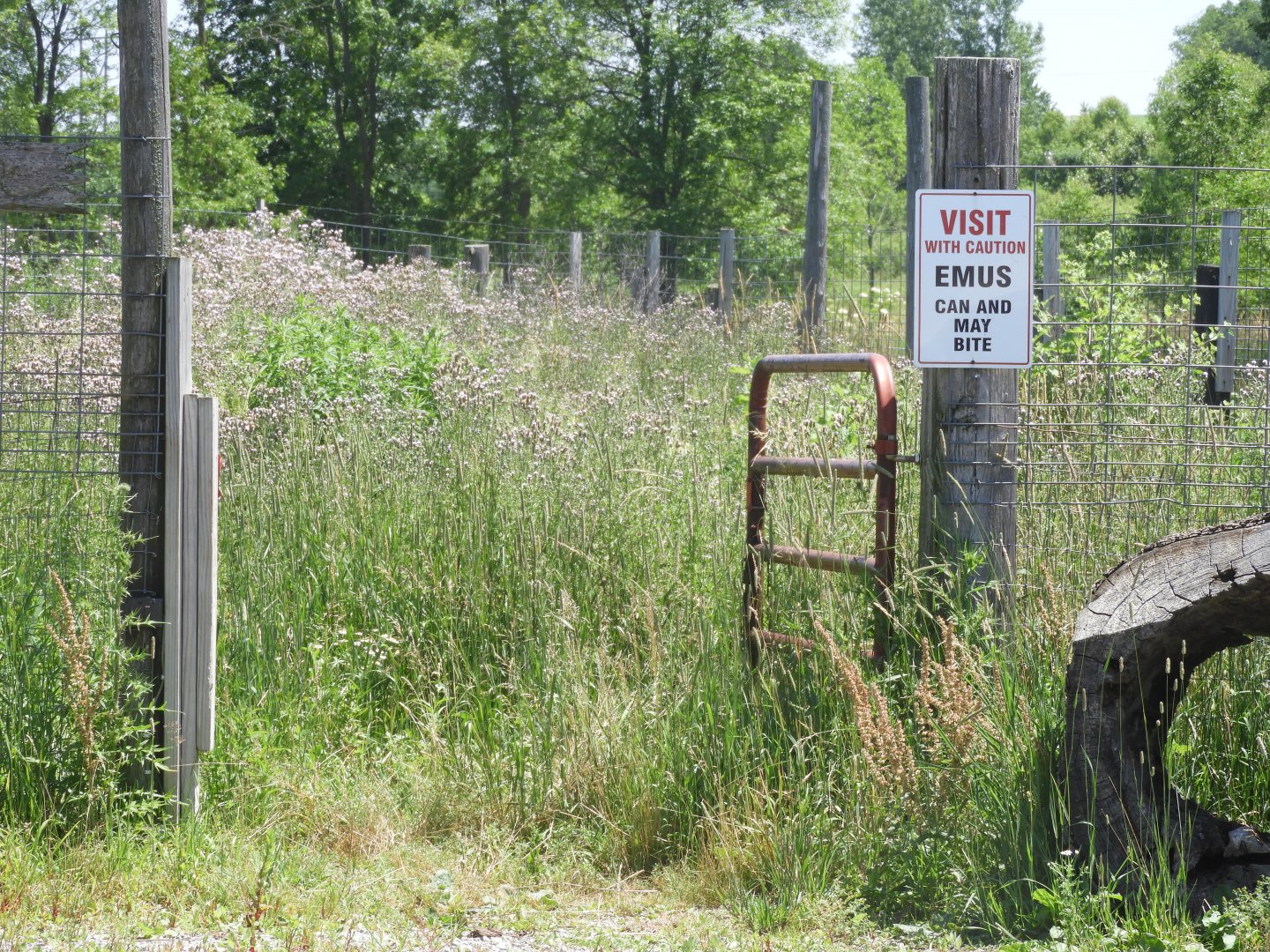 I Feel Extremely Safe