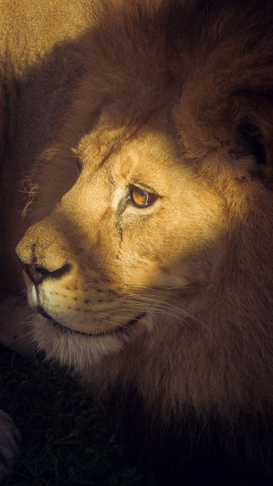 I Guess I Should Go To Sleep