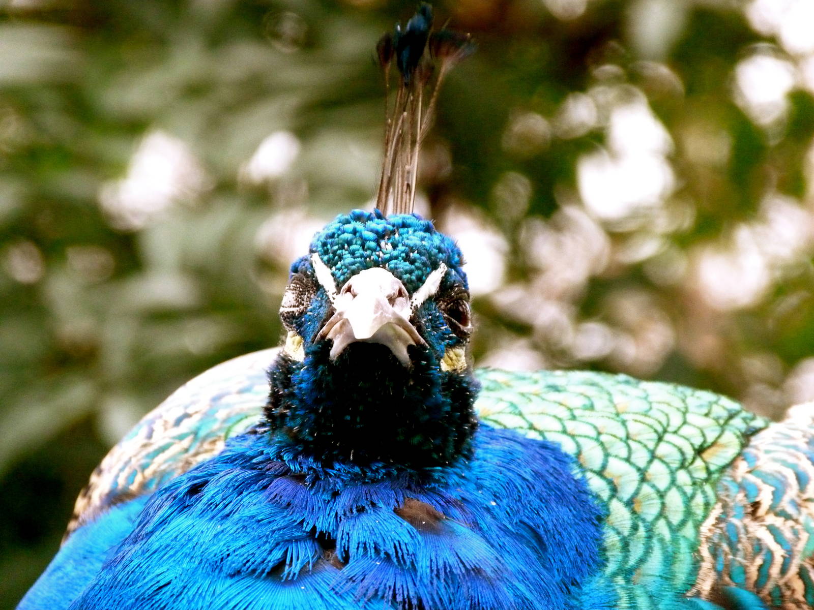 I Have My Eye On You!