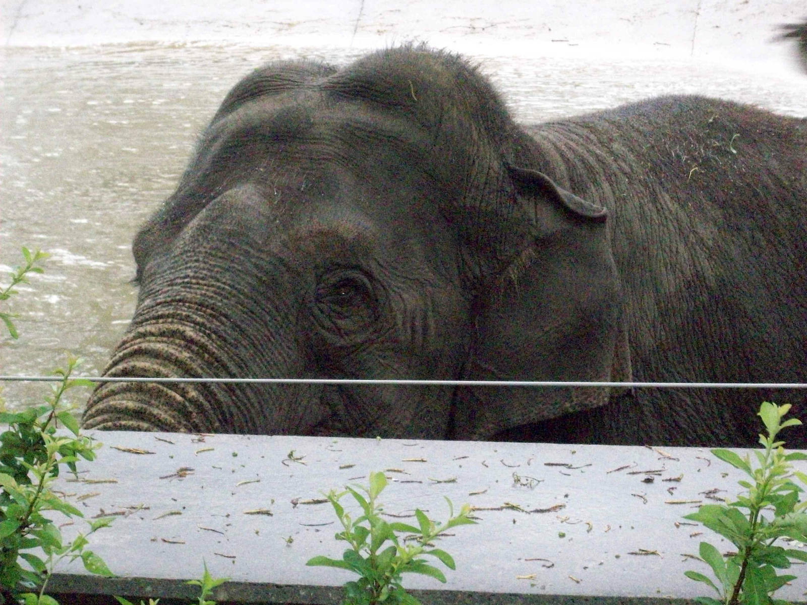 I have my eye on you...