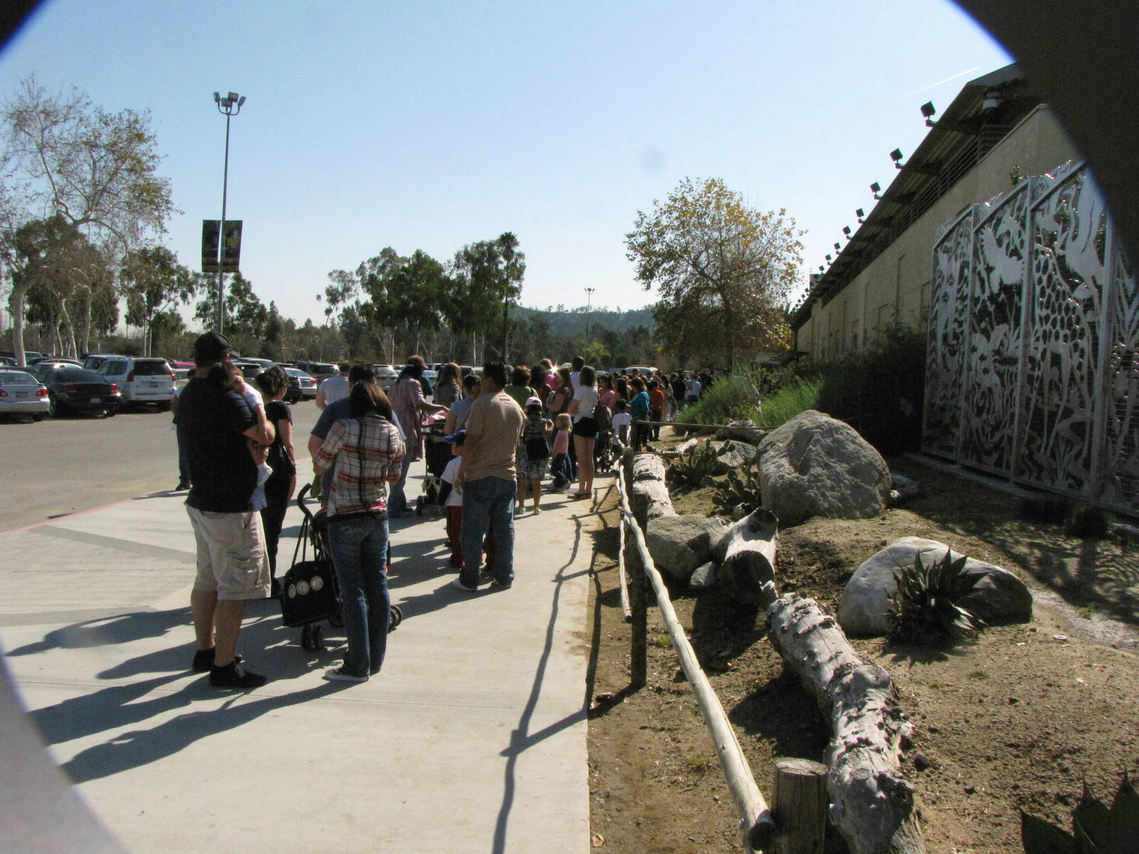 I Have Never Seen Lines This Long At The Zoo!