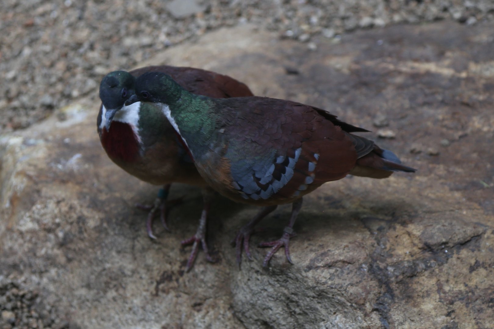 I have something to tell you...