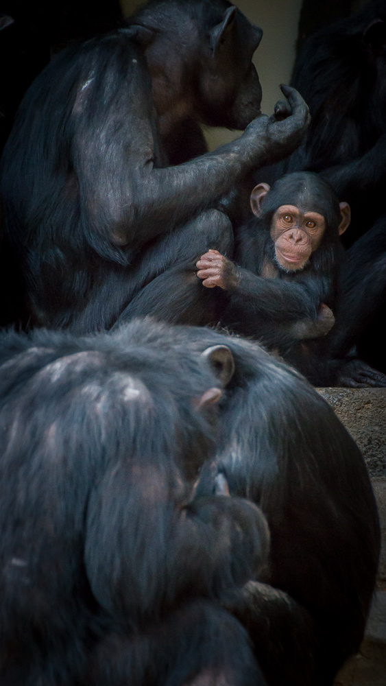 I Hope This Whole Thing Didn't Frighten You